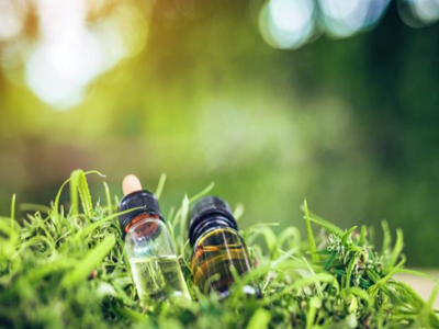 How do you know about CBD oil?